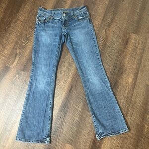 American Eagle Outfitters Vintage Blue Flare Jeans